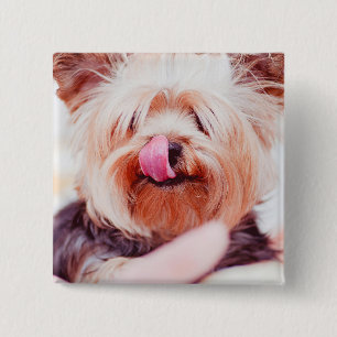 Badge Carré 5 Cm Cute Dog button 8