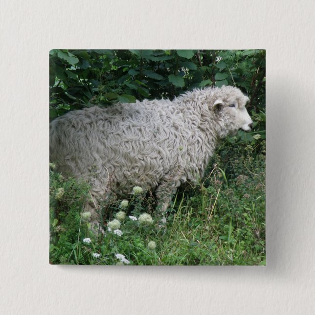 Badge Carré 5 Cm Cute Greedy Sheep Eating Button (Devant)