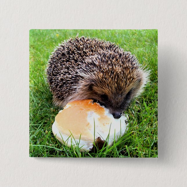 BADGE CARRÉ 5 CM CUTE HEDGEHOG (Devant)