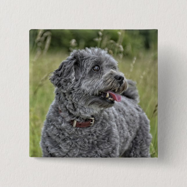 Badge Carré 5 Cm Cute Terrier Chien (Devant)