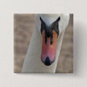Badge Carré 5 Cm Cygne