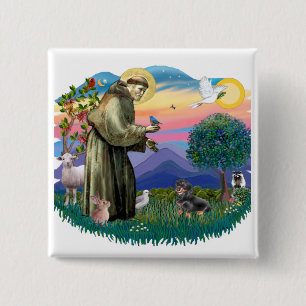 Badge Carré 5 Cm Dachshund (noir et tan)