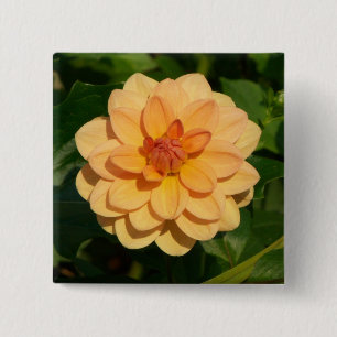 Badge Carré 5 Cm Dahlia 'David Howard'