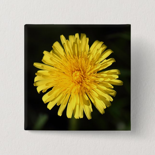 Badge Carré 5 Cm Dandelion (Devant)