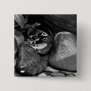 Badge Carré 5 Cm Dart Frog Friends B+W