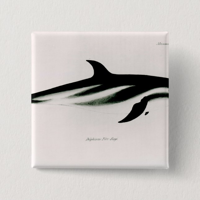 Badge Carré 5 Cm Dauphin (Devant)