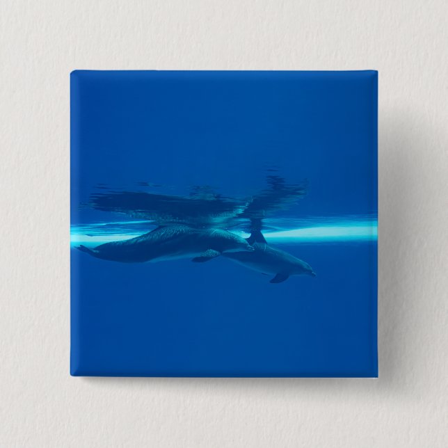 Badge Carré 5 Cm Dauphins et réflexions (Devant)