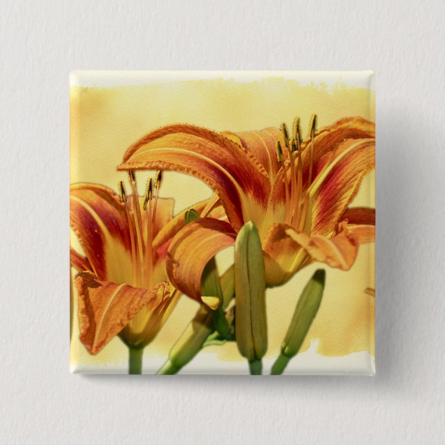 Badge Carré 5 Cm Daylilies - Hemerocallis (Devant)