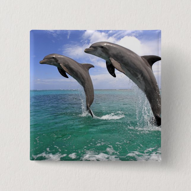 Badge Carré 5 Cm Delfin (Devant)