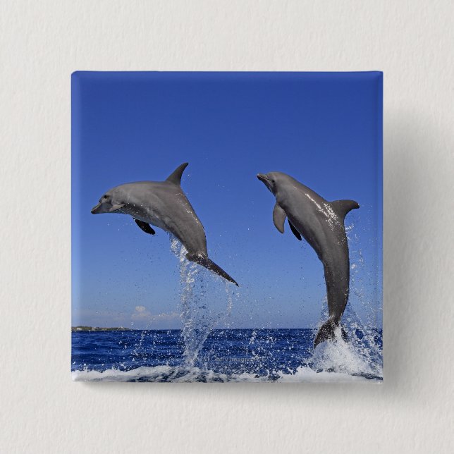 Badge Carré 5 Cm Delfin 2 (Devant)