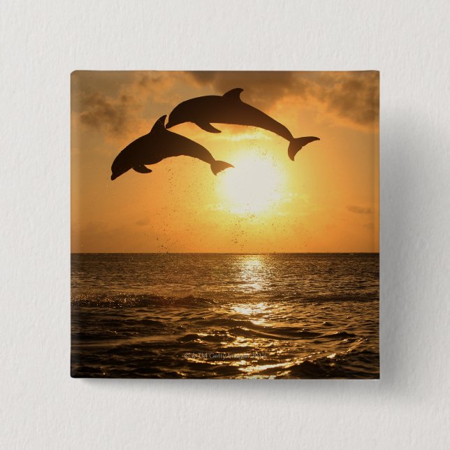 Badge Carré 5 Cm Delfin 3 (Devant)