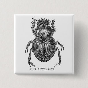 Badge Carré 5 Cm Dessin à la plume et à l'encre de Scarabée vintage