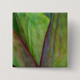 Badge Carré 5 Cm Détail de plante d'agave