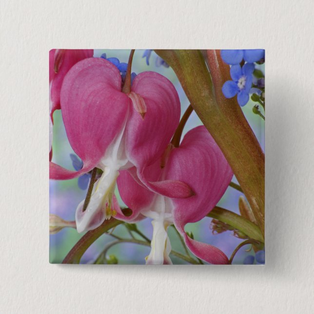 Badge Carré 5 Cm Détail des coeurs saignants et Brunnera Jack (Devant)