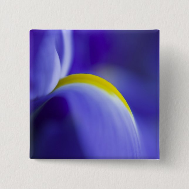 Badge Carré 5 Cm Détail rapproché d'un iris Blue Flag. (Devant)