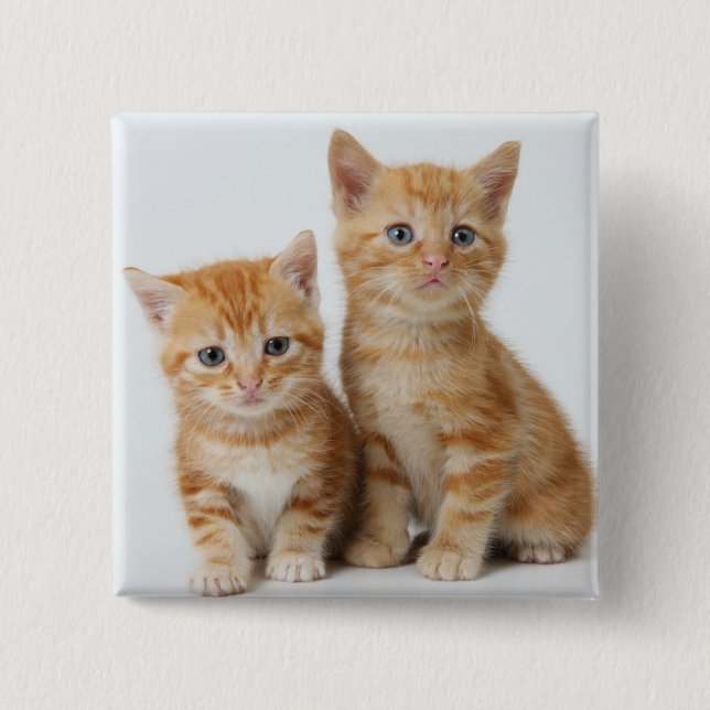 Badge Carré 5 Cm Deux chatons adorables (Devant)