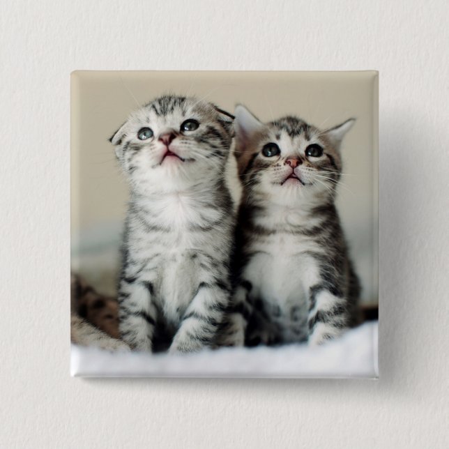 Badge Carré 5 Cm Deux chatons mignons (Devant)
