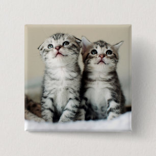 Badge Carré 5 Cm Deux chatons mignons