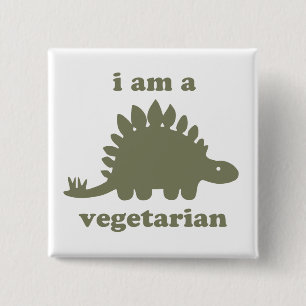 Badge Carré 5 Cm Dinosaure végétarien de Stegosaurus - vert