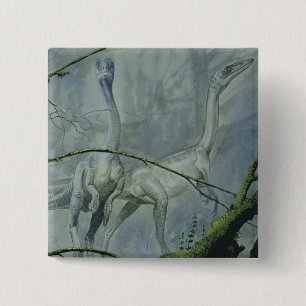 Badge Carré 5 Cm Dinosaures Vintage, Megapnosaurus alias Syntarsus