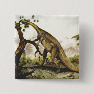 Badge Carré 5 Cm Dinosaures Vintage, Plateosaurus Paissant sur des 