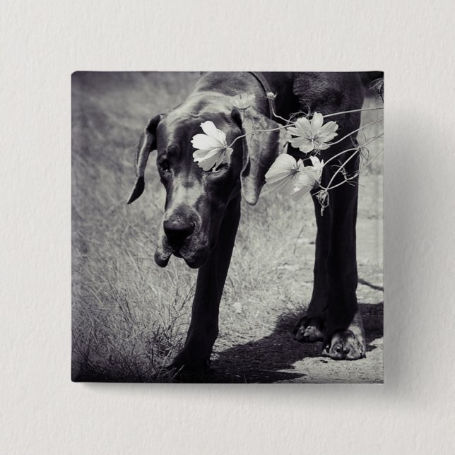 Badge Carré 5 Cm Dogge Balu (Devant)