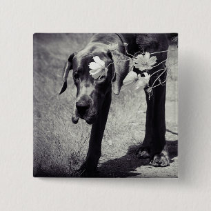 Badge Carré 5 Cm Dogge Balu