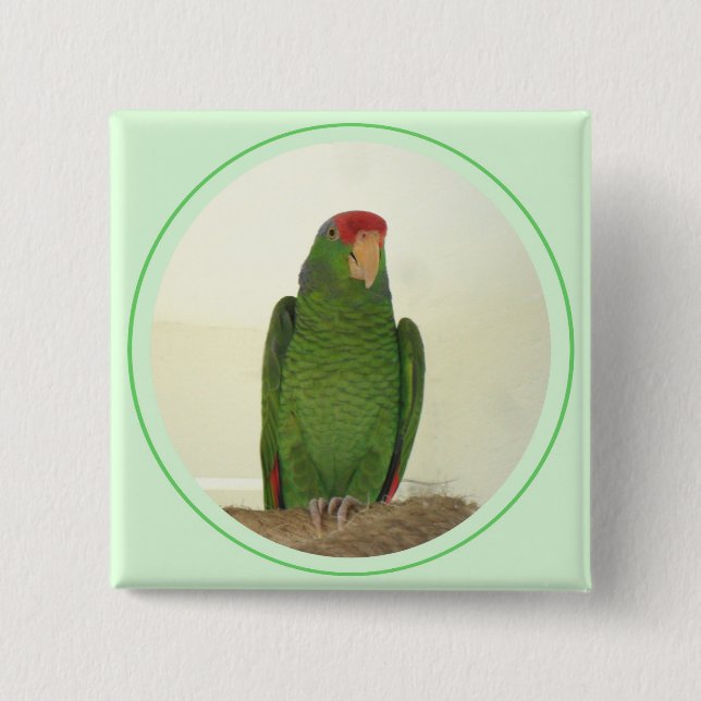 Badge Carré 5 Cm Dooley 1 (Devant)