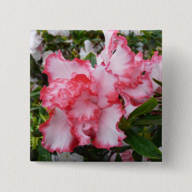 Badge Carré 5 Cm Double rouge et blanc Azaleas printemps floral (Devant)
