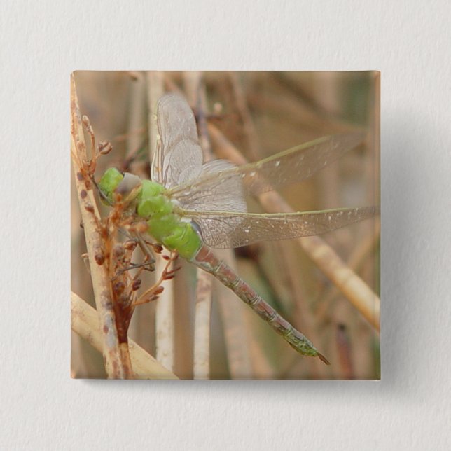 Badge Carré 5 Cm Dragonfly vert I1 (Devant)