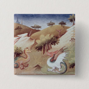 Badge Carré 5 Cm Dragons de Mme Fr 2810 f.55v et d'autres bêtes