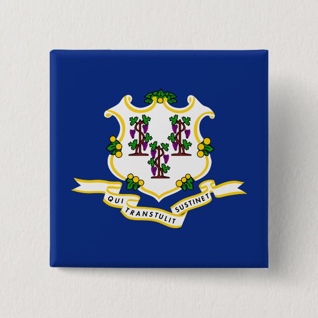Badge Carré 5 Cm Drapeau d'État du Connecticut (Devant)
