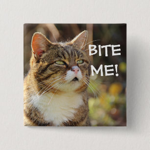 Badge Carré 5 Cm Drôle Sassy Chat avec Attitude Bite Me