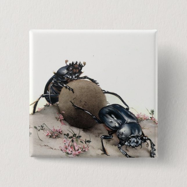 Badge Carré 5 Cm Dung Bettle (Devant)