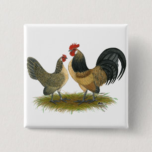 Badge Carré 5 Cm Dutch Bantam : Quail bleu