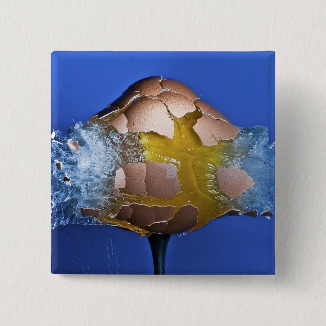 Badge Carré 5 Cm Eggceptional (Devant)