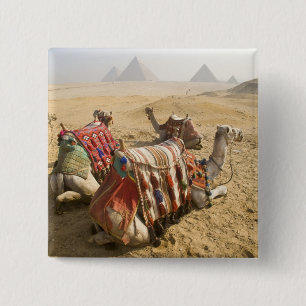Badge Carré 5 Cm Égypte, Le Caire. Chameaux au repos