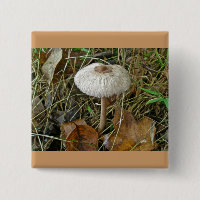 Éléments de coordination du champignon de parasol 