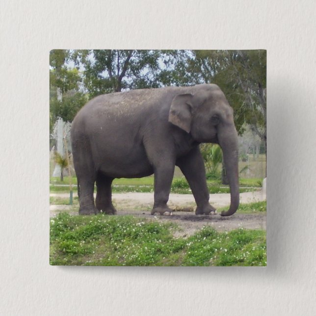 Badge Carré 5 Cm Éléphant sur un chemin forestier doux (Devant)