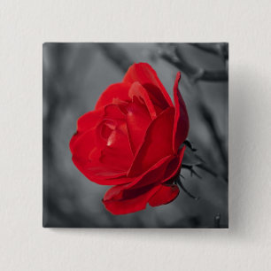Badge Carré 5 Cm Épingle Rose Rouge