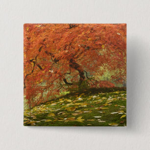 Badge Carré 5 Cm Érable japonais en couleur d'automne