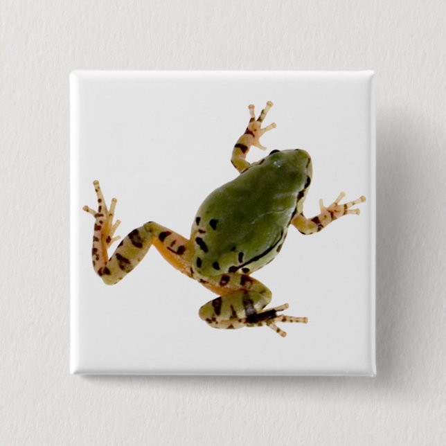 Badge Carré 5 Cm Escalade Arizona Tree Frog Photographie (Devant)