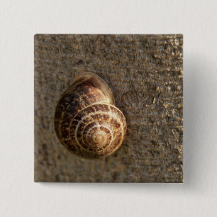 Badge Carré 5 Cm Escargot
