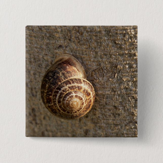 Badge Carré 5 Cm Escargot (Devant)