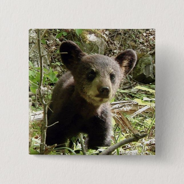 Badge Carré 5 Cm Espérez le bouton d'ours (Devant)