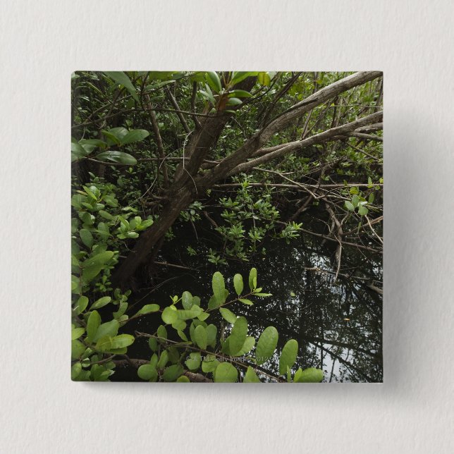 Badge Carré 5 Cm Étang tropical de sel (Devant)
