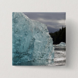 Badge Carré 5 Cm États-Unis, Alaska, Tongass National Forest, Tracy