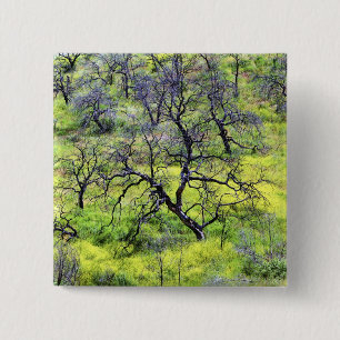 Badge Carré 5 Cm États-Unis, Californie, San Diego. Une forêt de