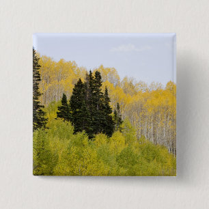 Badge Carré 5 Cm États-Unis, Colorado, Gunnison National Forest, l
