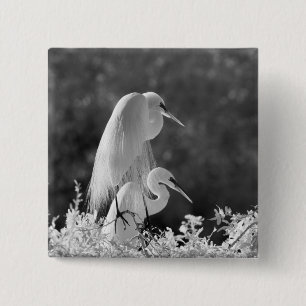 Badge Carré 5 Cm États-Unis, Floride, Grande Aigrette (Ardea alba) 